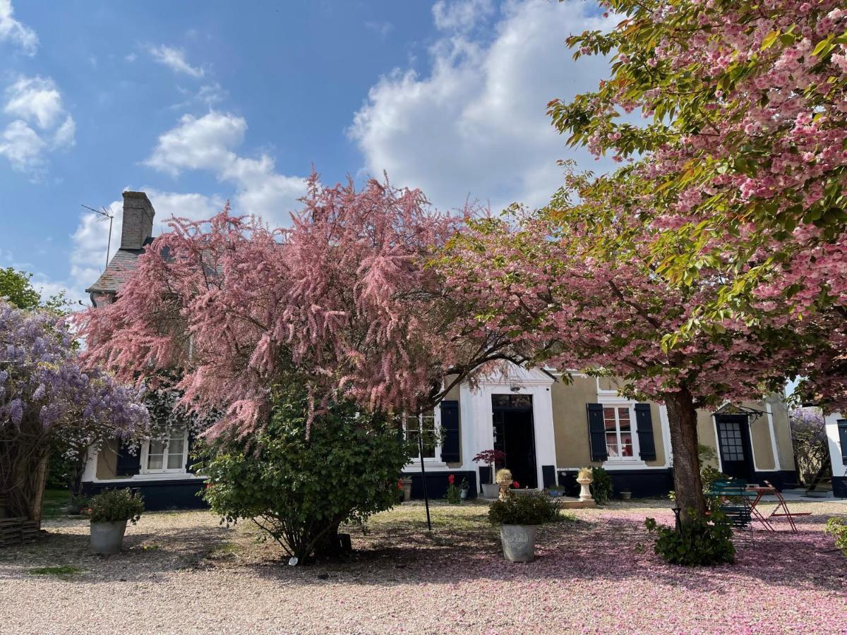 Au Presbytere De Saigneville Exteriér fotografie