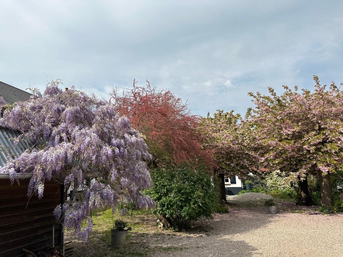 Au Presbytere De Saigneville Exteriér fotografie